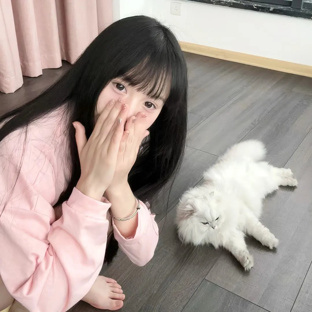 扭曲的家封面