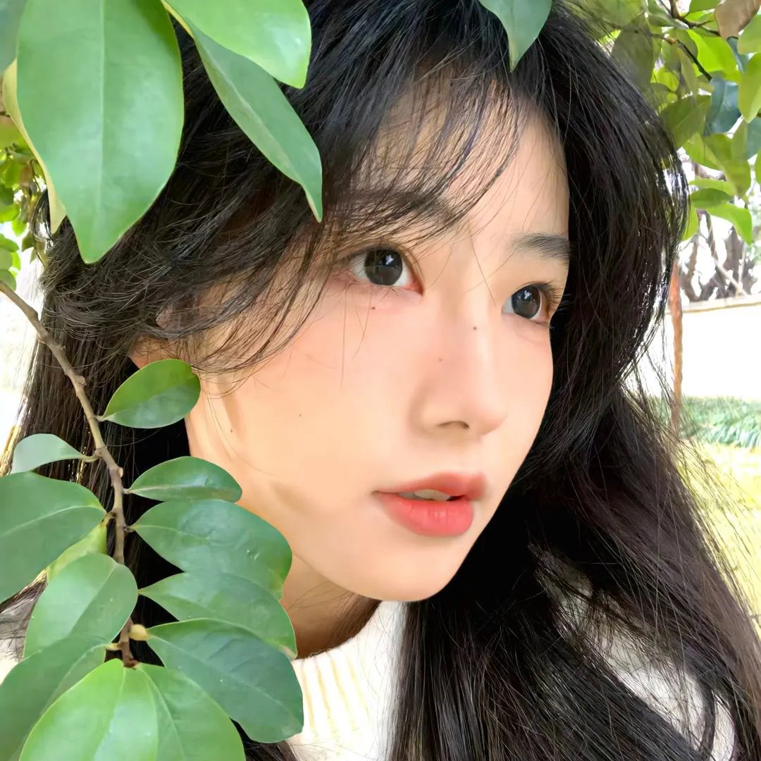 重耳传奇封面